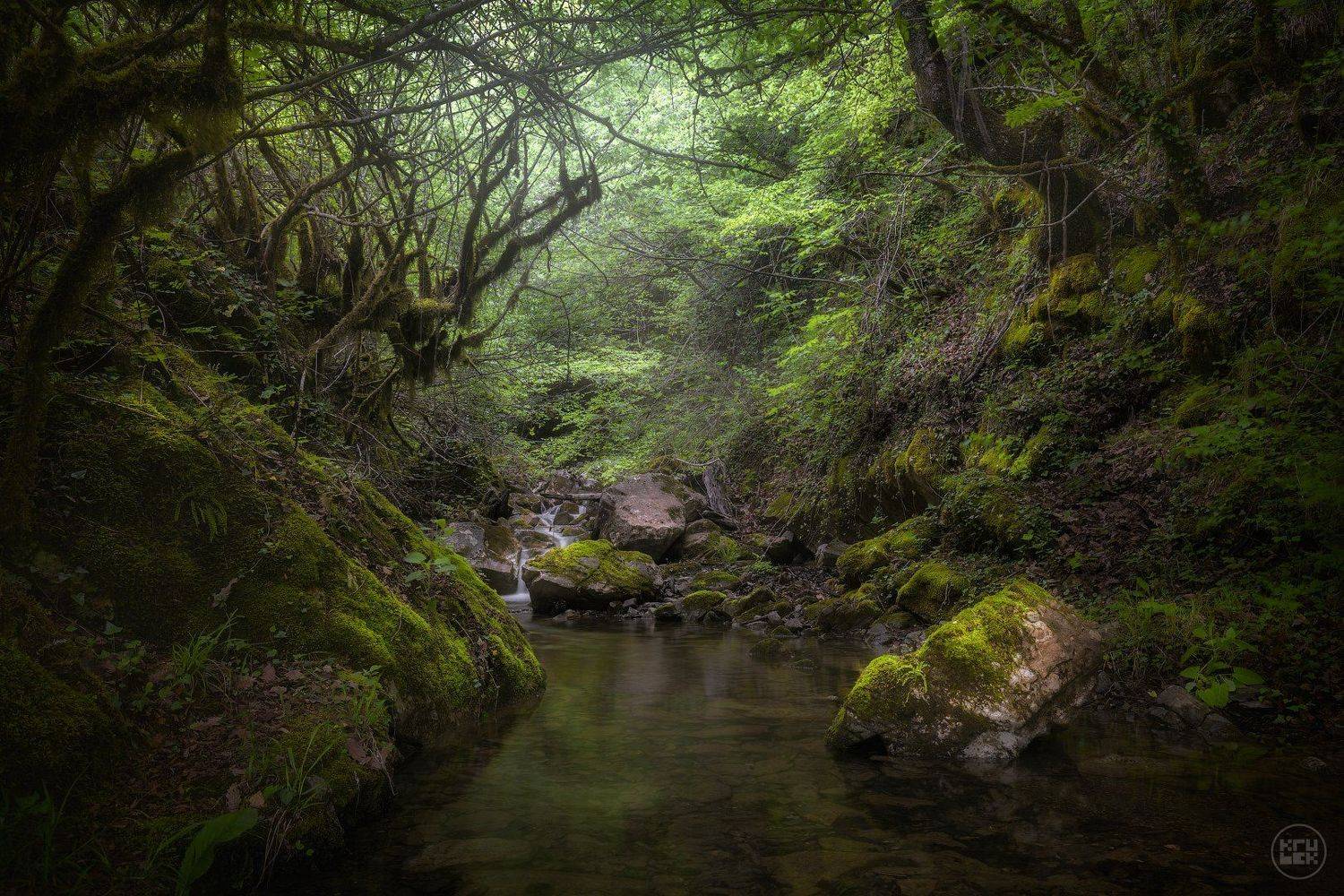 черногория, мртвица, река, лес, KrubeK