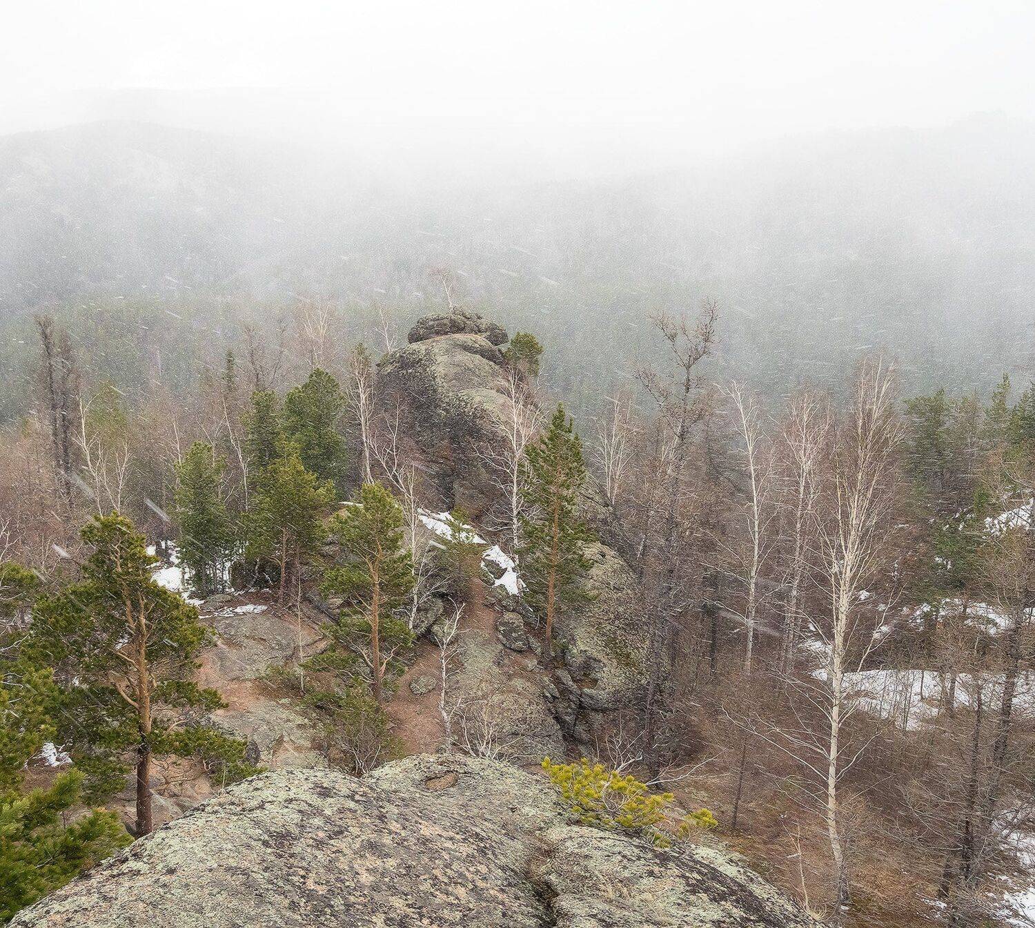 , Лещёнок Александр