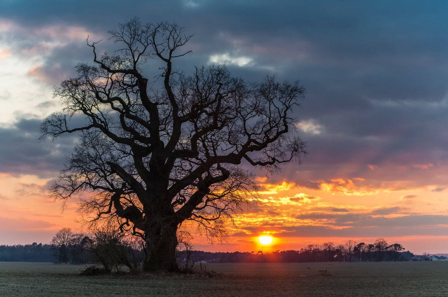 , Maciej Werbliński