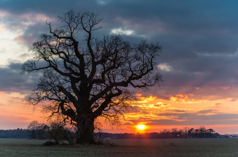 Evening calm фото превью