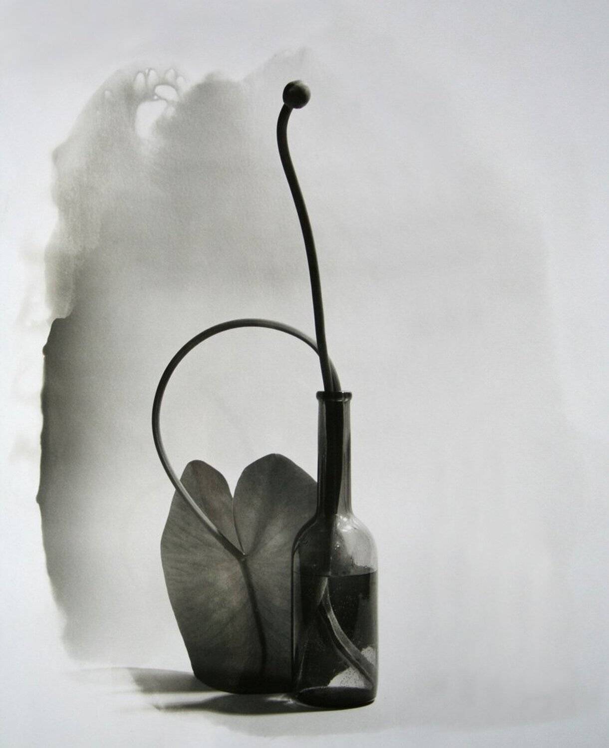 кувшинка, Виктор Кириллов