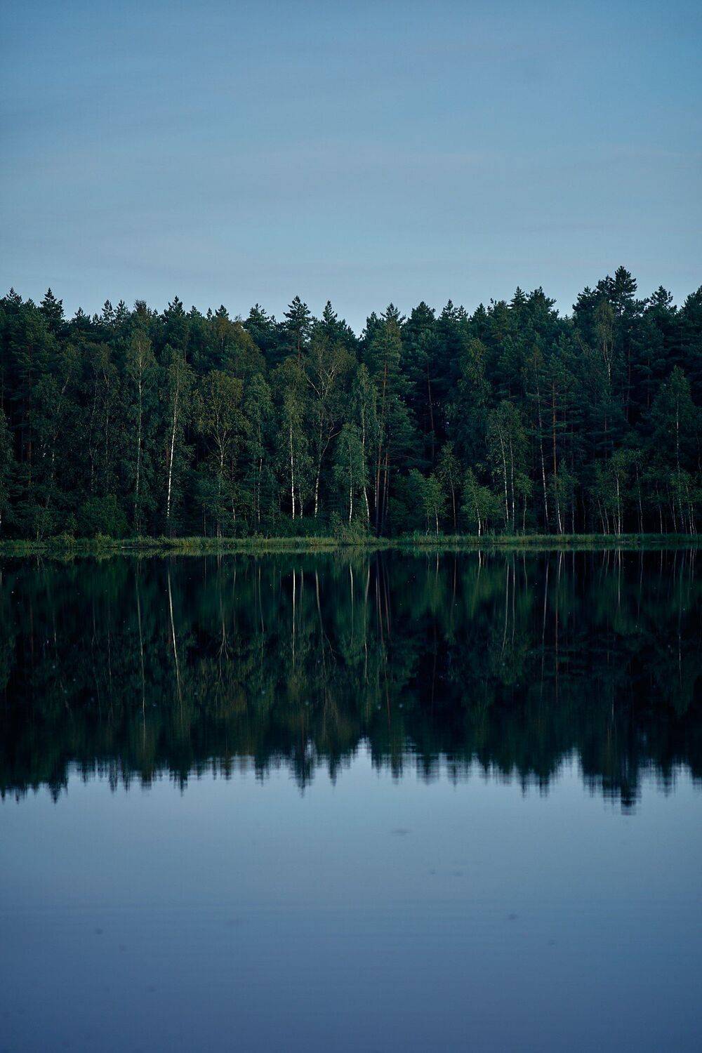 , Александр Фанковин