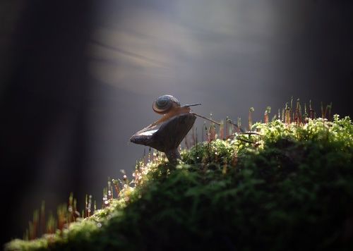 Тёплый свет...