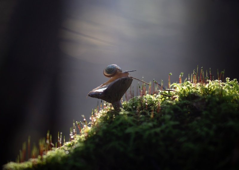 Тёплый свет... фото превью