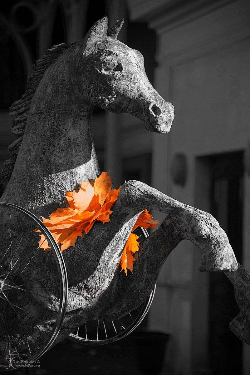 конь, Дмитрий Бакулин