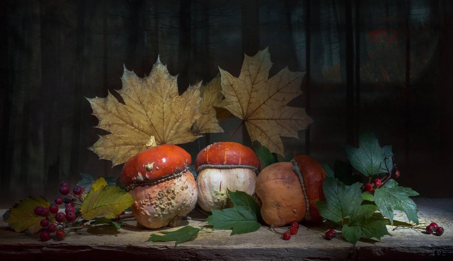 , Елена Брежицкая