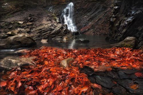 Запах прелой листвы ...