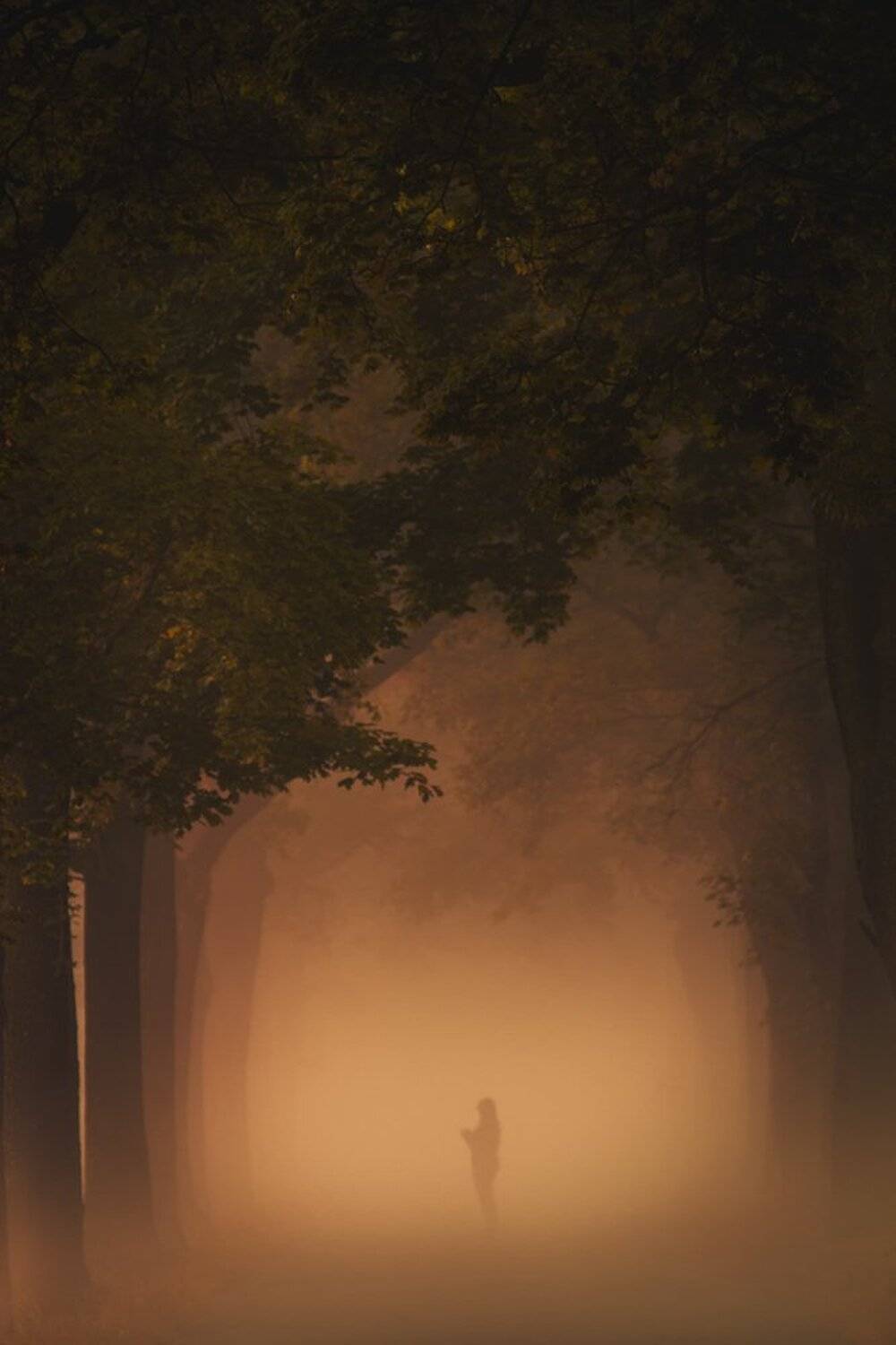 landscape,canon,mist,light,autumn, Iza i Darek Mitręga