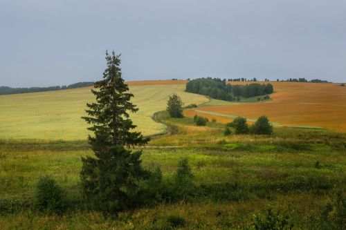 Проба палитры осени