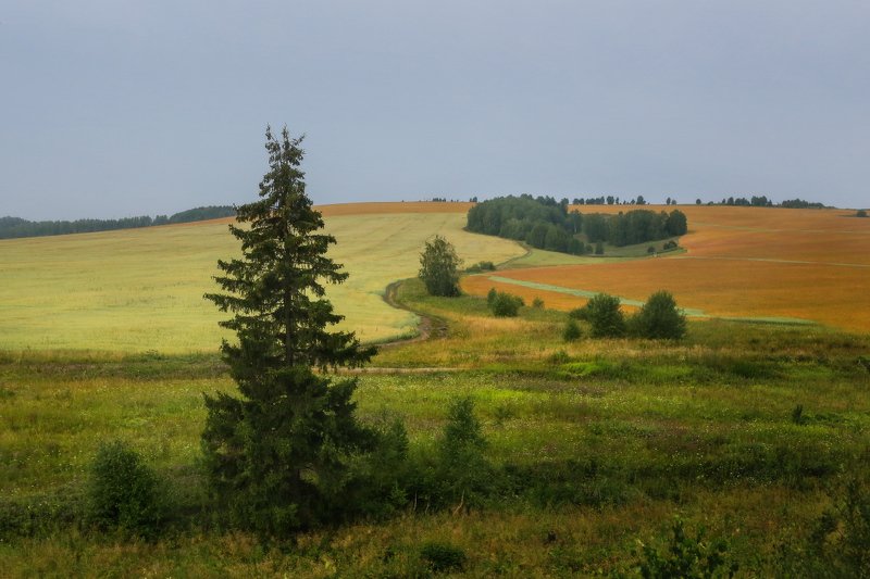 Проба палитры осени фото превью