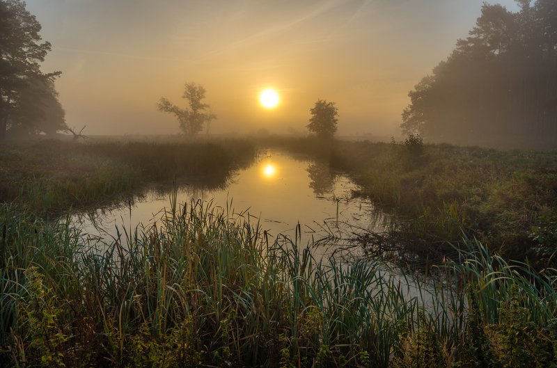 Morning sun and oxbow фото превью