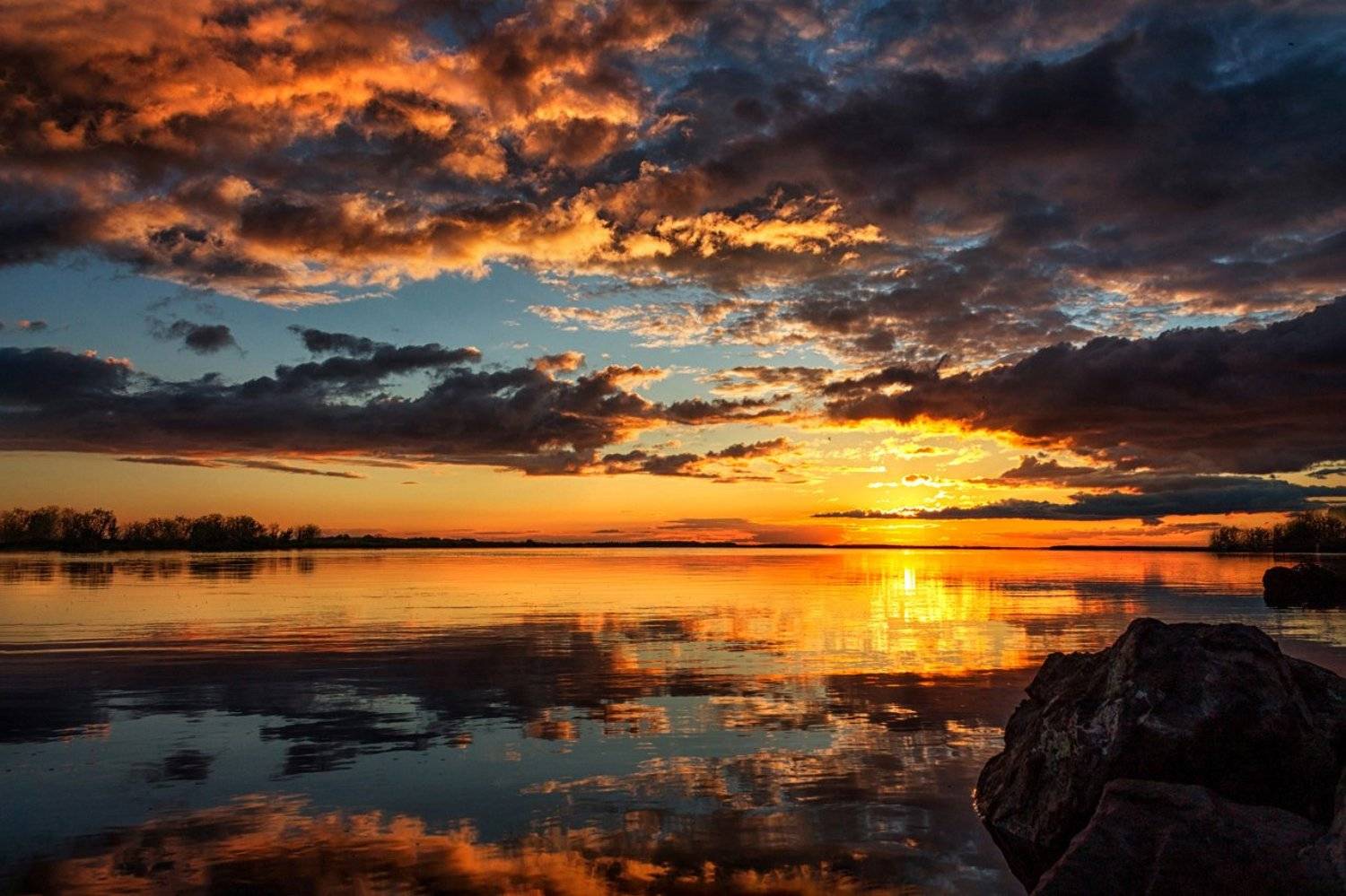 , Алёна Сурнина