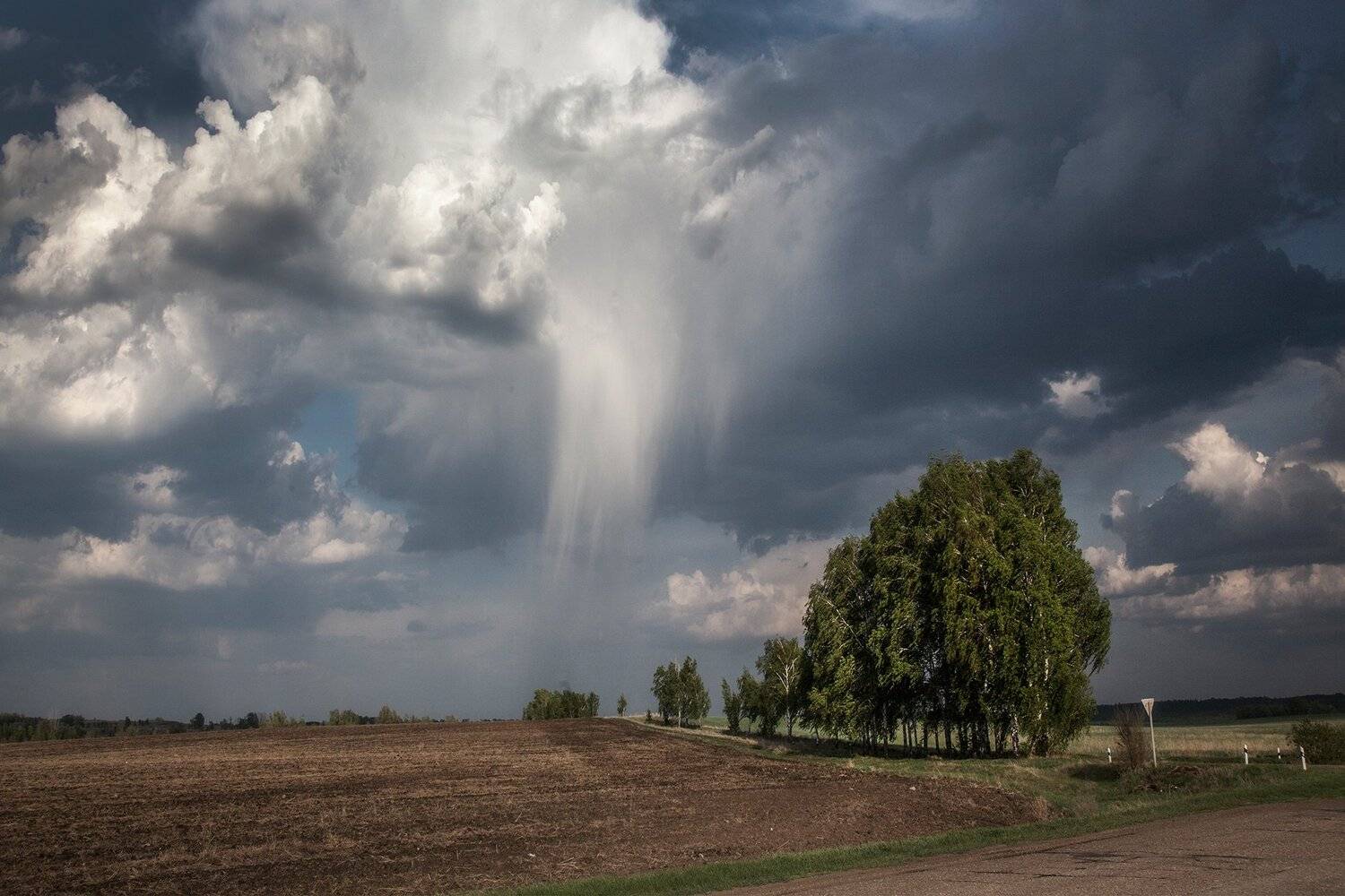 пейзаж,поле,тучи,дождь, Тамара Андреева