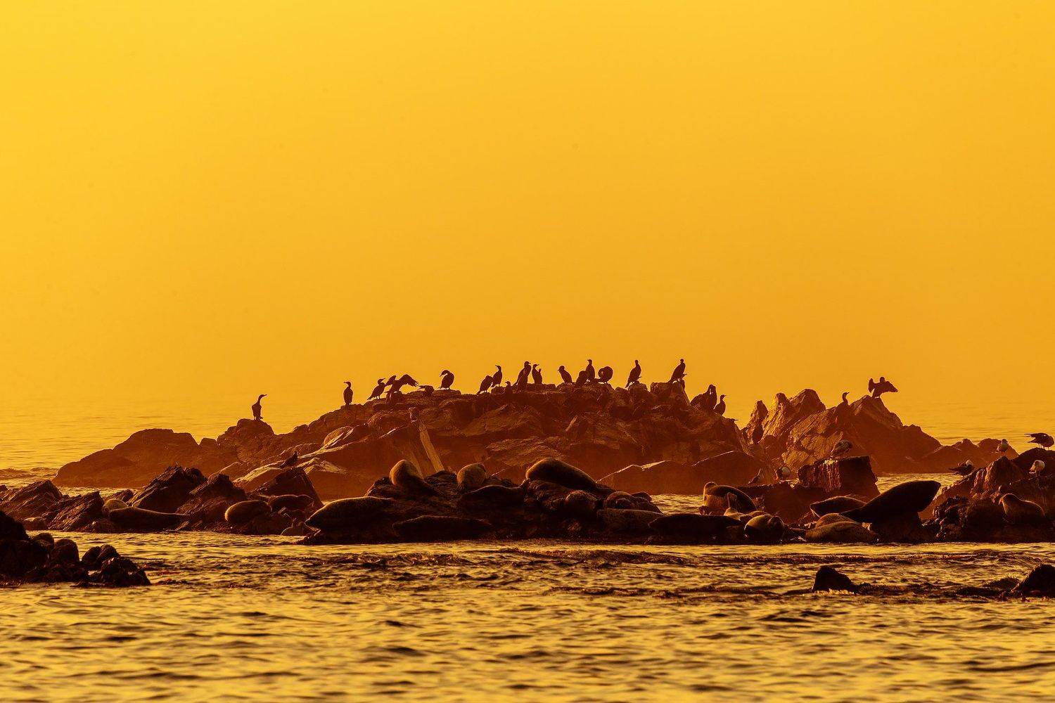 , Александр Хитров