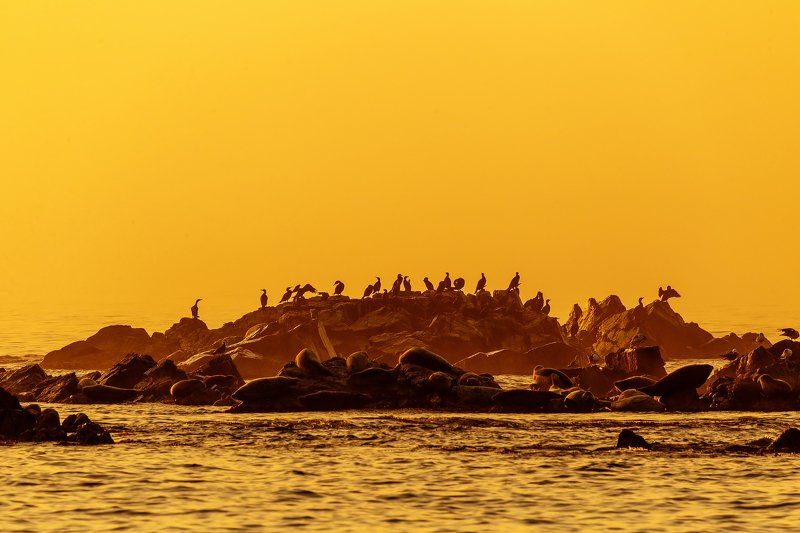 Место под солнцем фото превью