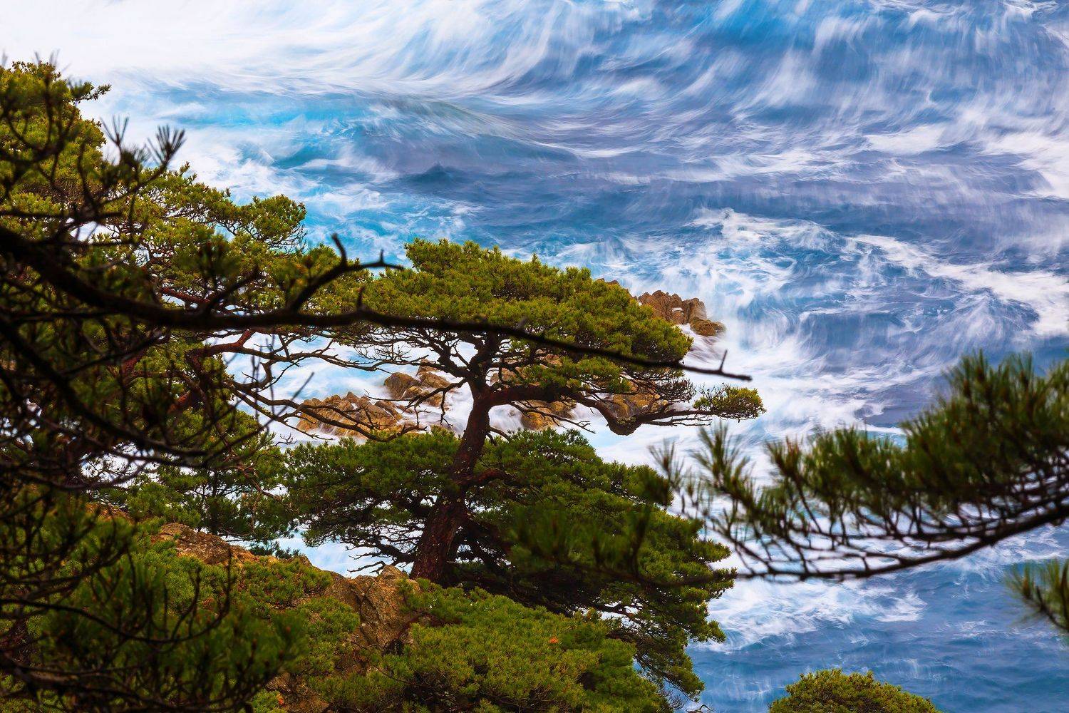 , Александр Хитров