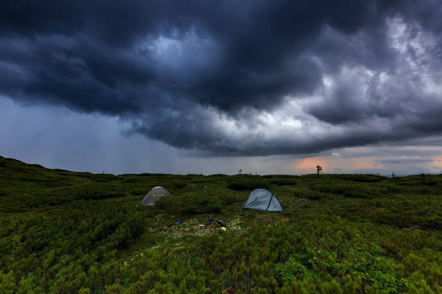, Александр Хитров