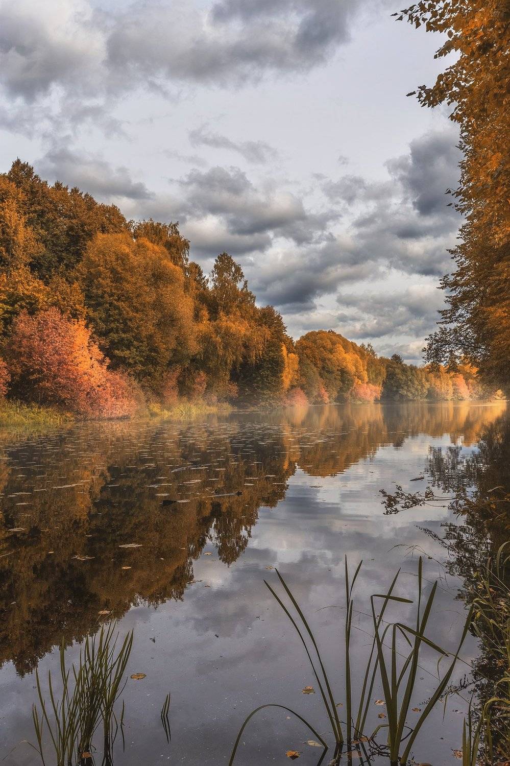 , Сергей Сатуло