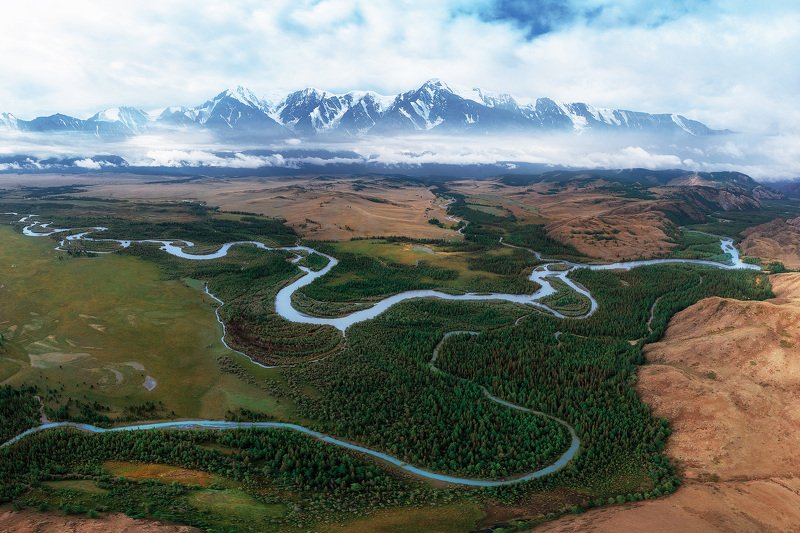 курай, алтай Курайская степь фото превью