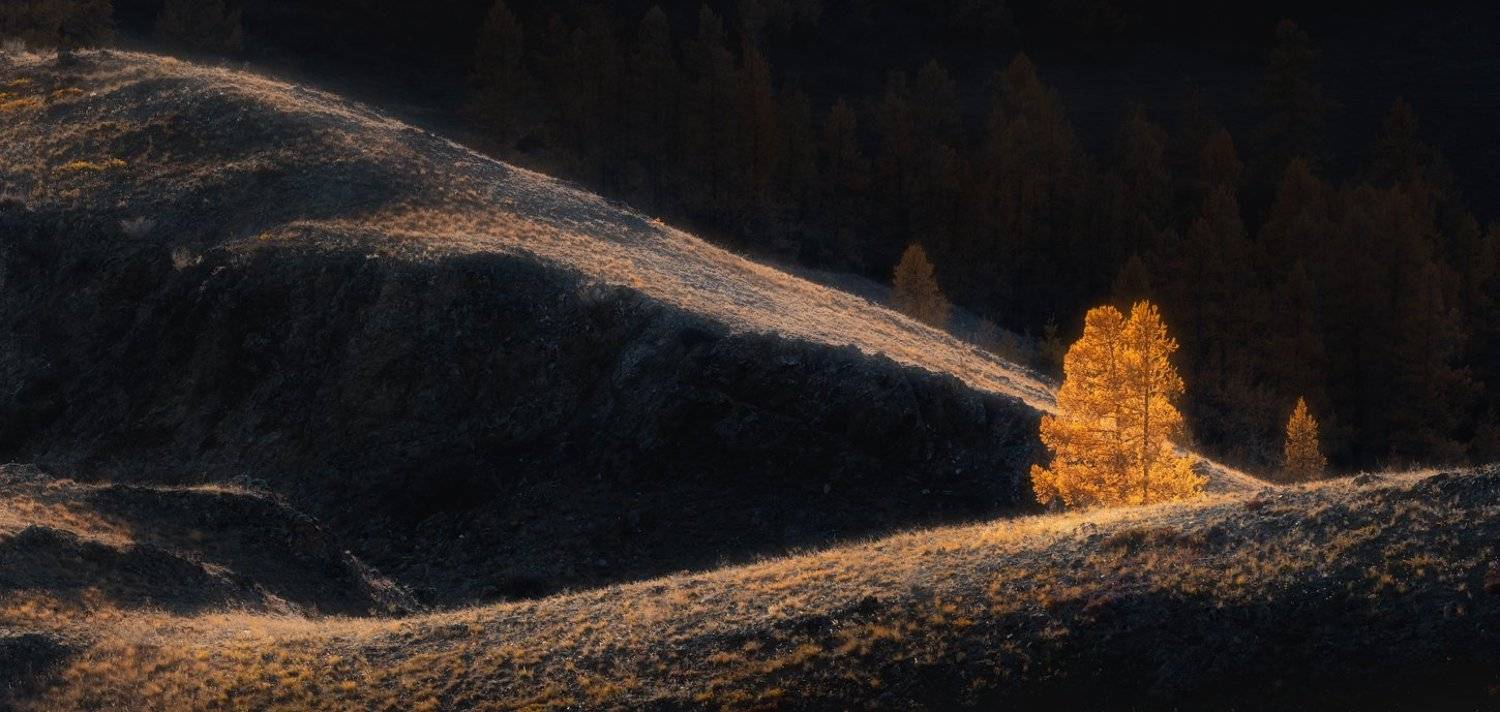 алтай,осень, Александр Кукринов