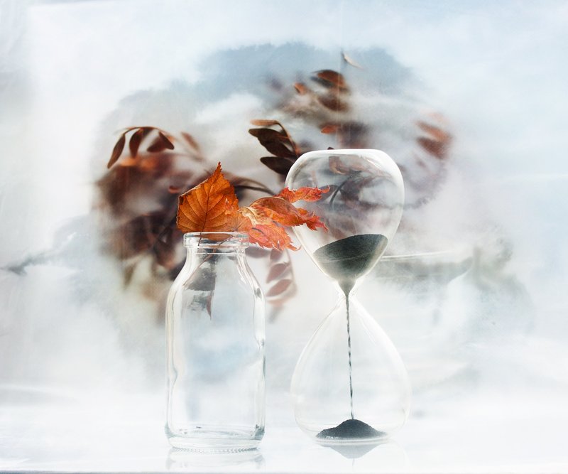 История одного дня фото превью