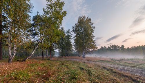 Сентябрь в лесу.