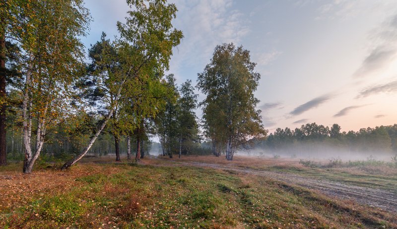 сентябрь, лес, туман, дорога, рассвет Сентябрь в лесу. фото превью