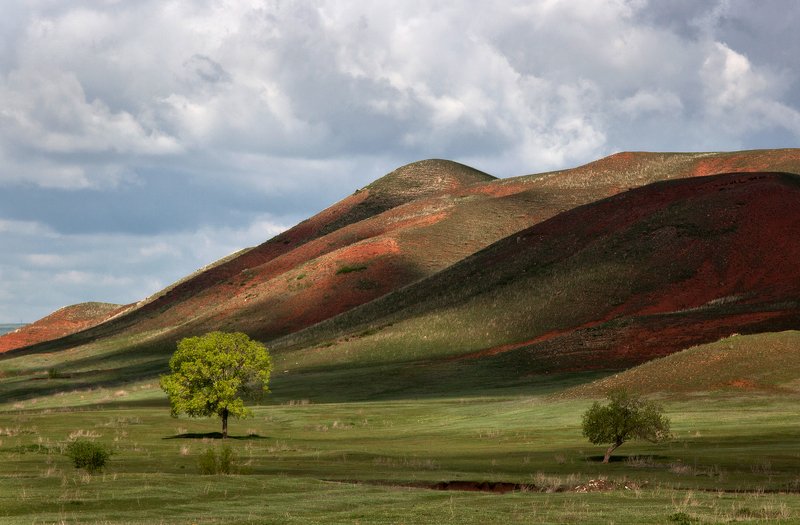 пейзаж,холмы,горы,луга,дерево,просторы,солнце Башкирские холмы. фото превью