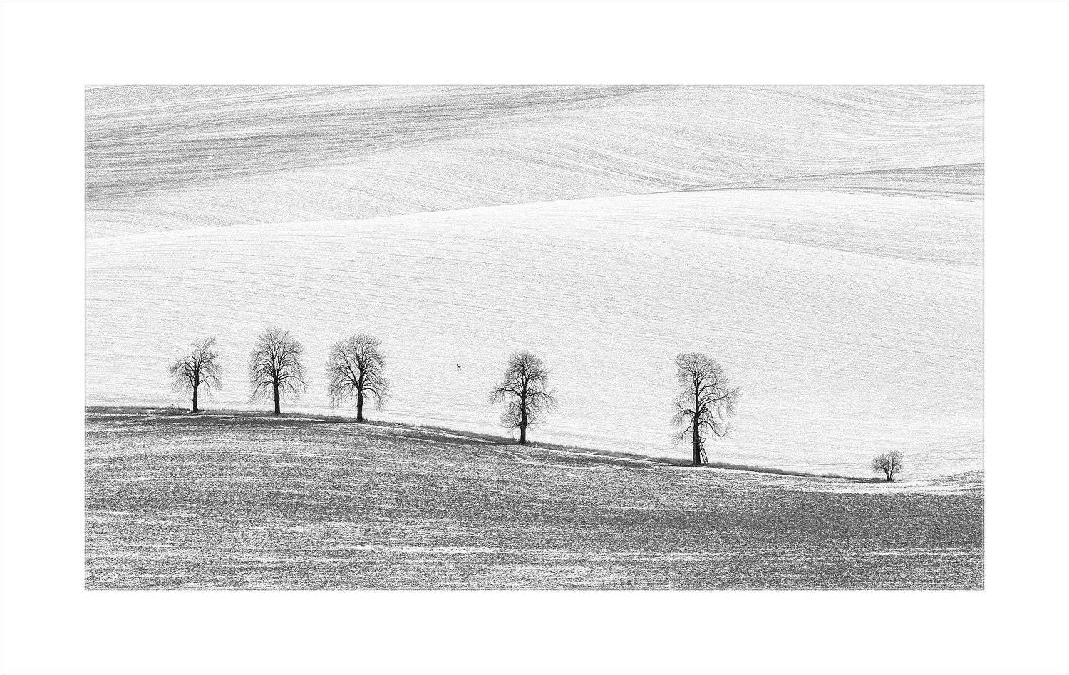 , Сергей Давыдов