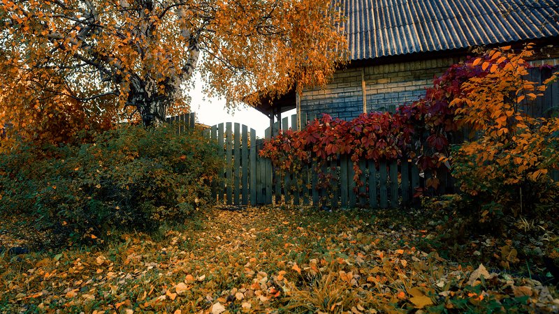 Краски осени фото превью