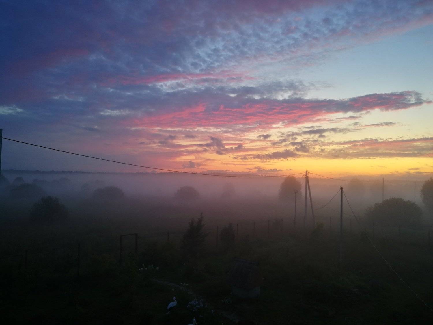 , Макс Рогозин