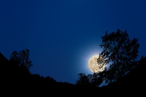 Moon Rising