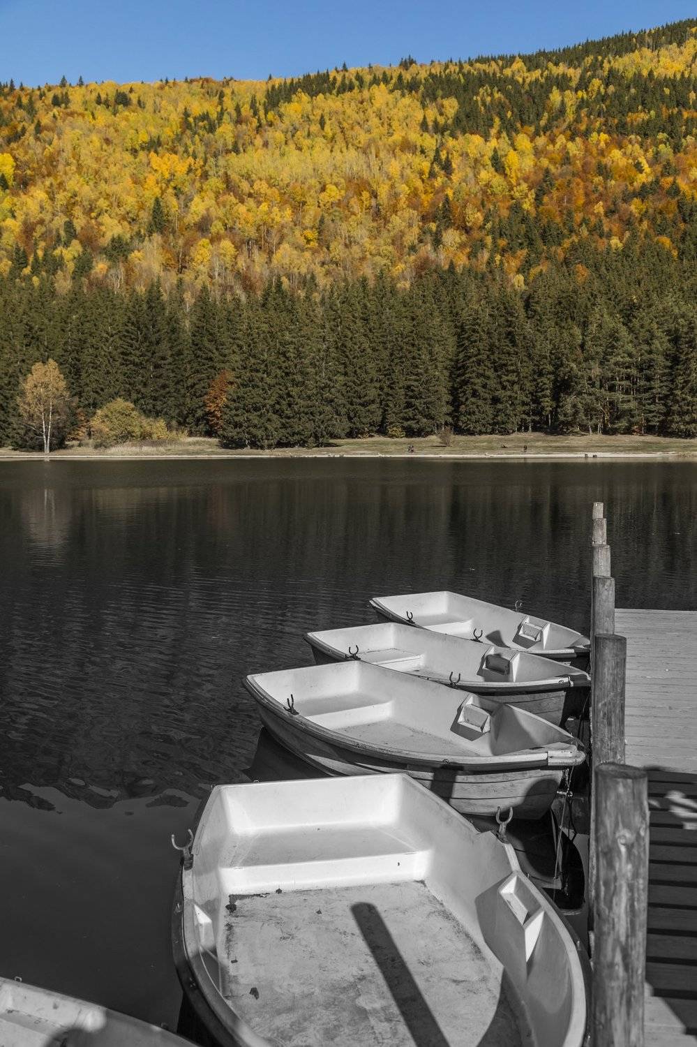 autumn landscape beautiful photography frame canvas, Comșa Bogdan