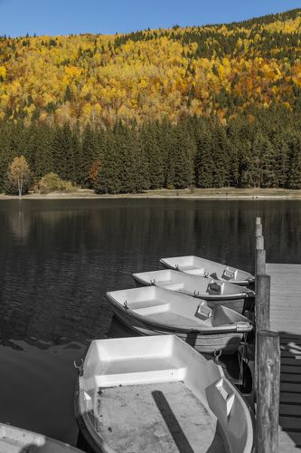 The autumn