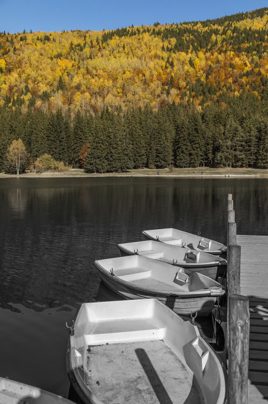 autumn landscape beautiful photography frame canvas The autumn фото превью