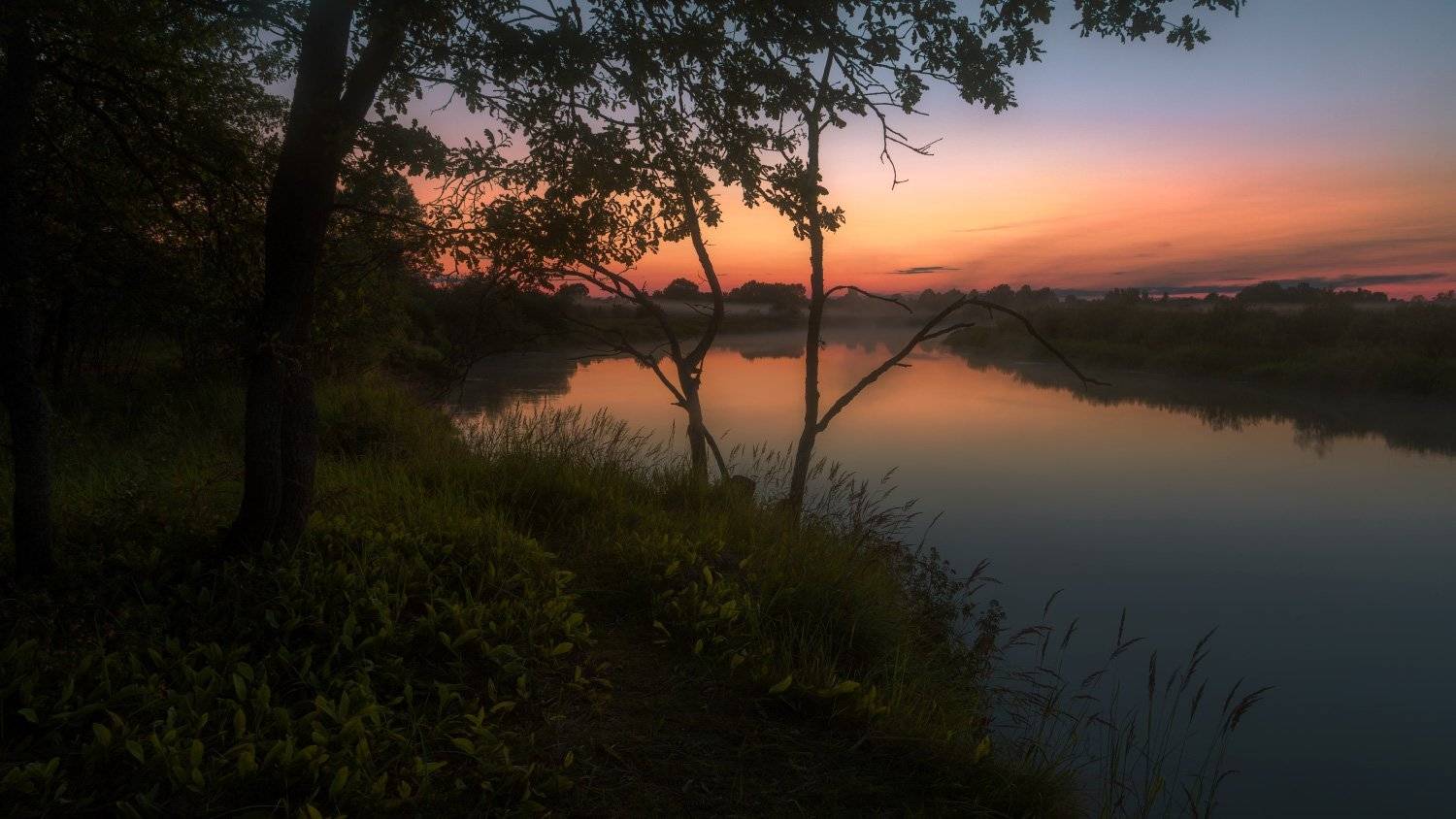 сумерки, закат, зарево, река, берег, дерево, Михаил Кушнер