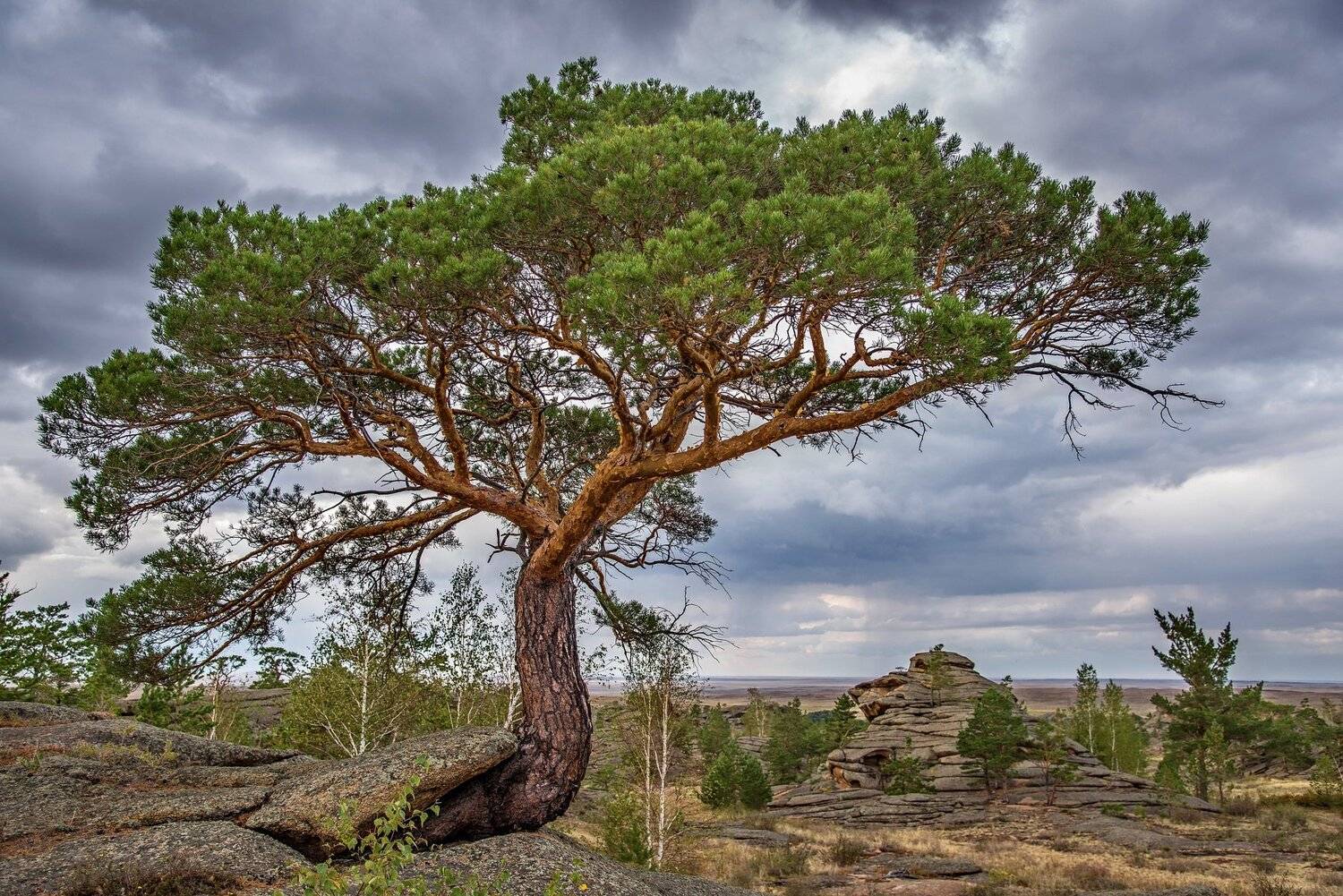 горы, Евгений Дроботенко