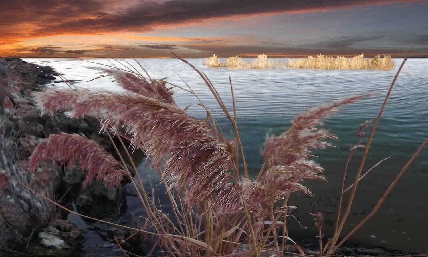 одесса, Сергей Кошелев