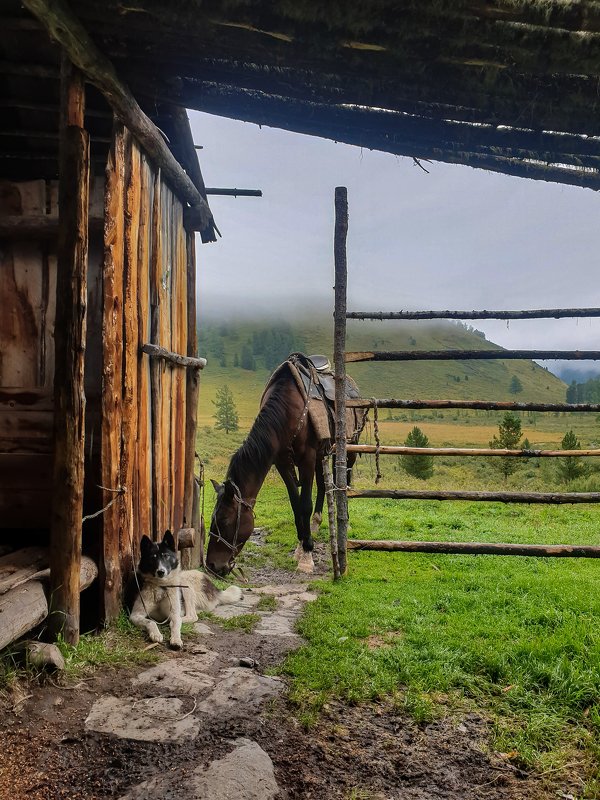 На привале фото превью