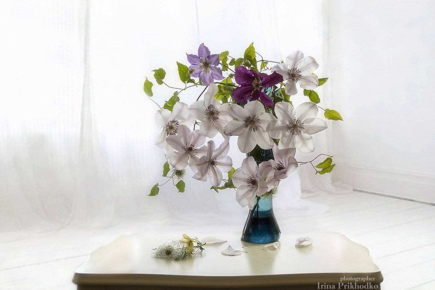 натюрморт, романтика, белый фон, интерьер, винтажный стол, букет, клематис, Ирина Приходько