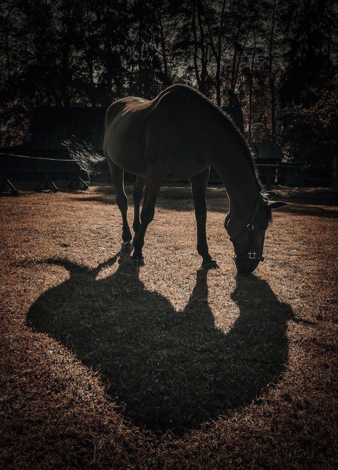 , Баранов Олег