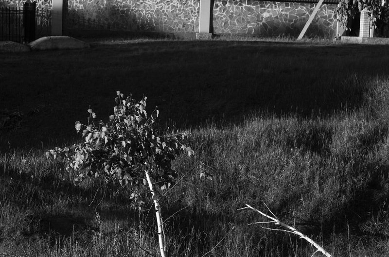 фотография художественная фотография черно-белая фотография  фото превью