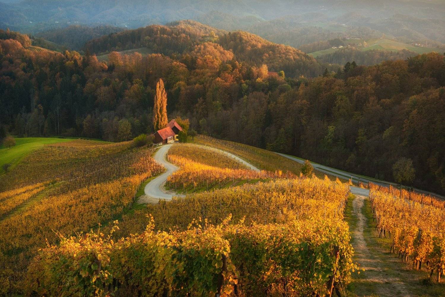 , Красимир Матаров