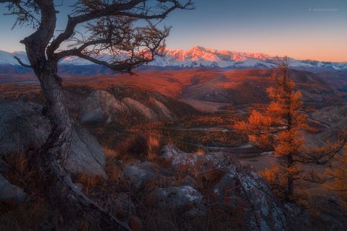 Осеннее утро в Курайской степи.