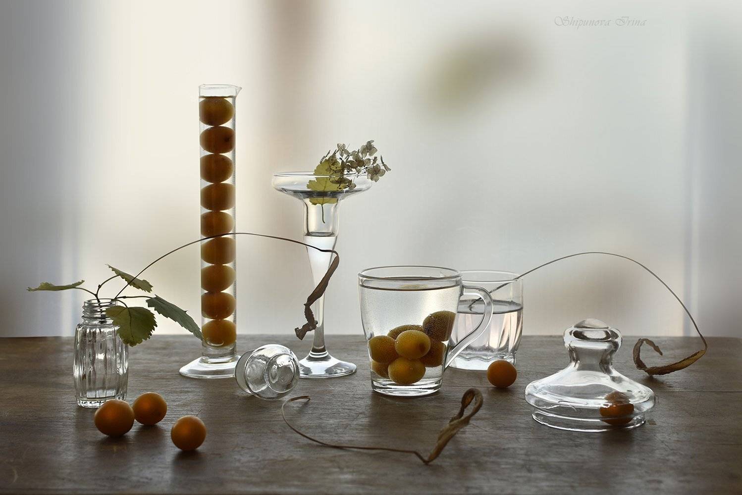 алыча, стекло, сухоцвет, прозрачность, осень, Шипунова Ирина
