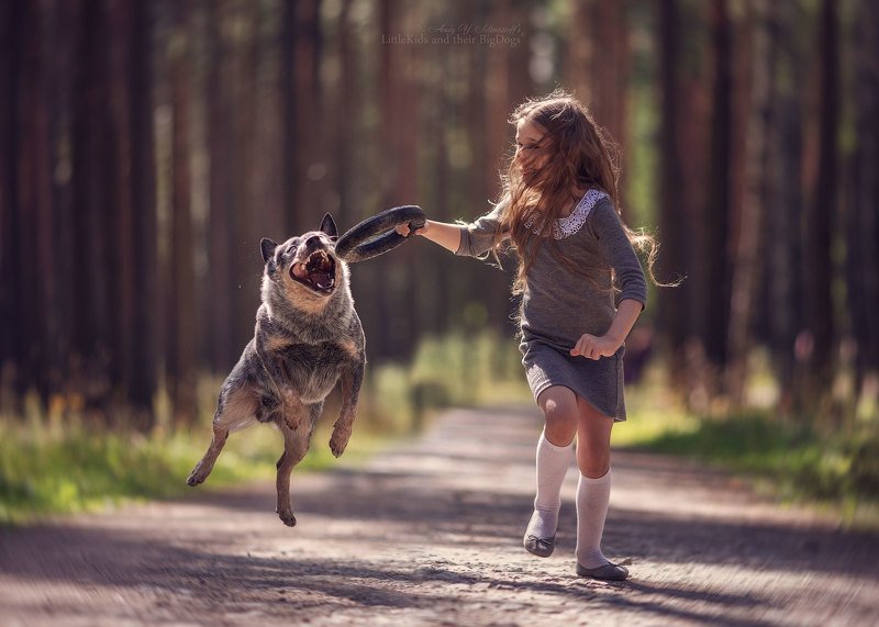 Pauline and her Bashar (Australian Cattle Dog) фото превью