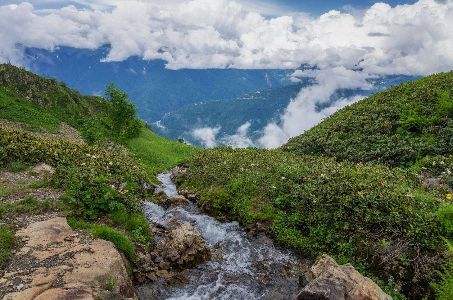 , Игорь Мелекесцев