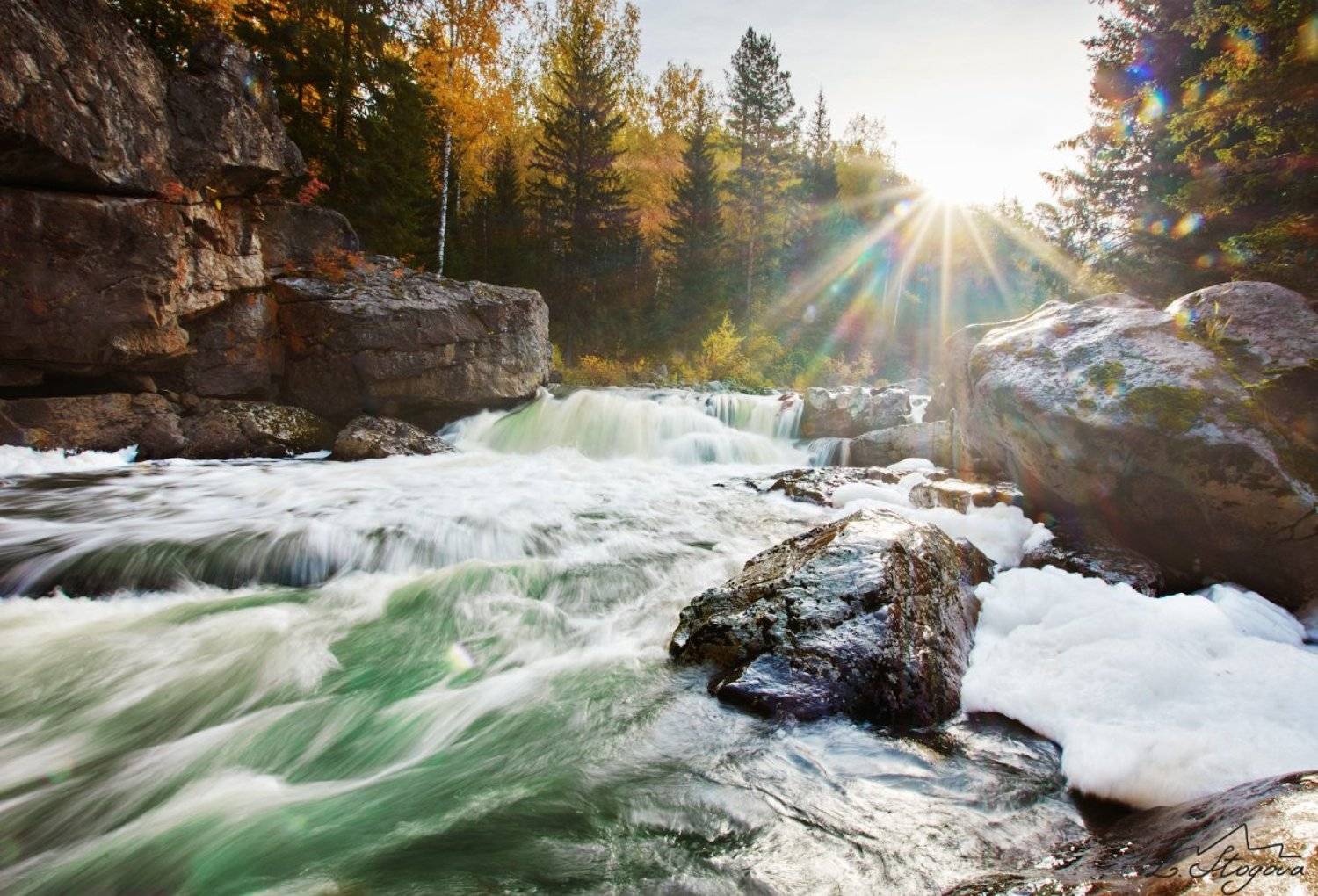 река, утро, солнце, Лена Стогова