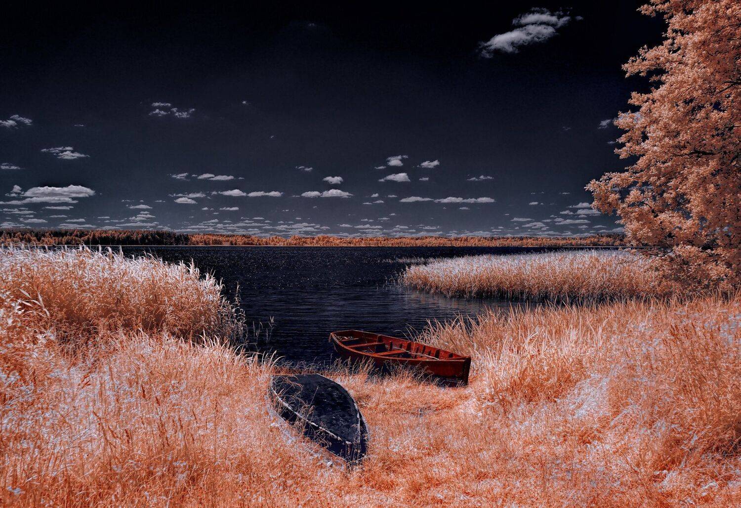 infrared,ик-фото,инфракрасное фото, инфракрасная фотография, пейзаж, лето, Sixten ( Сергей )