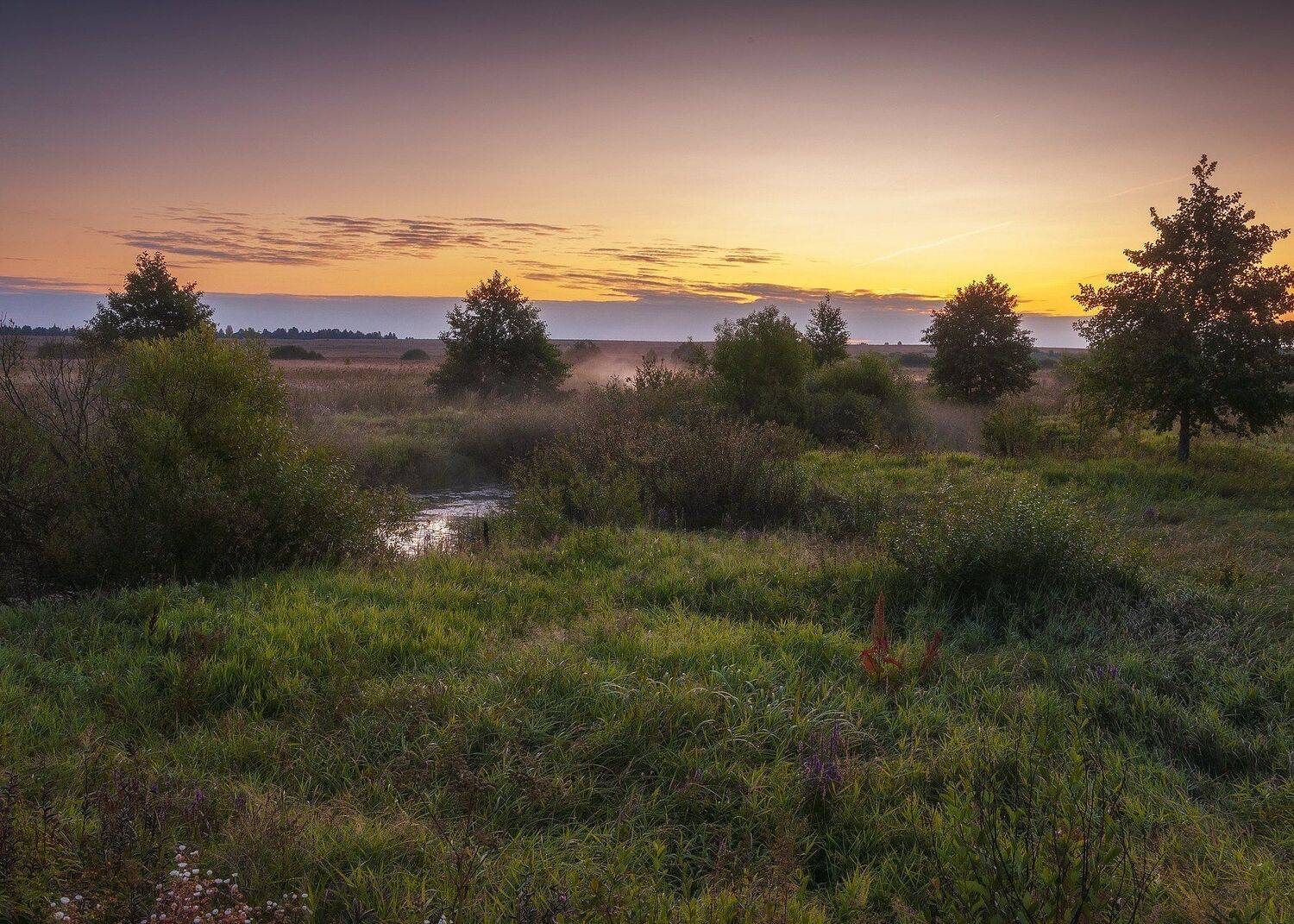 рассвет,туман,лето,зелень,природа,пейзаж,брянск,россия, Павел Ныриков
